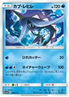 Tapu Fini 040