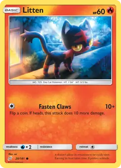 Litten 20 Normal