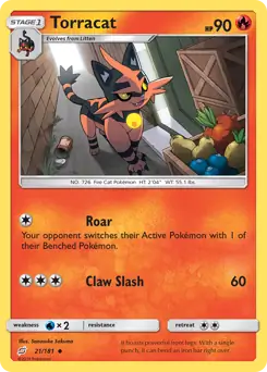Torracat 21 Normal