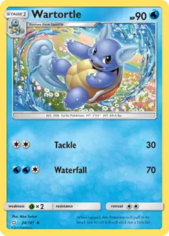 Wartortle 24 Normal