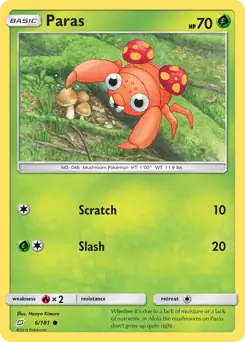 Paras 6