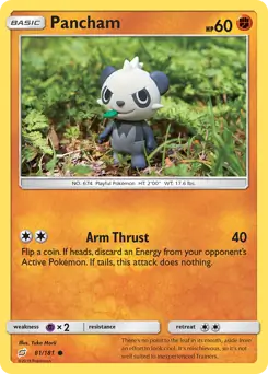 Pancham 81 Normal