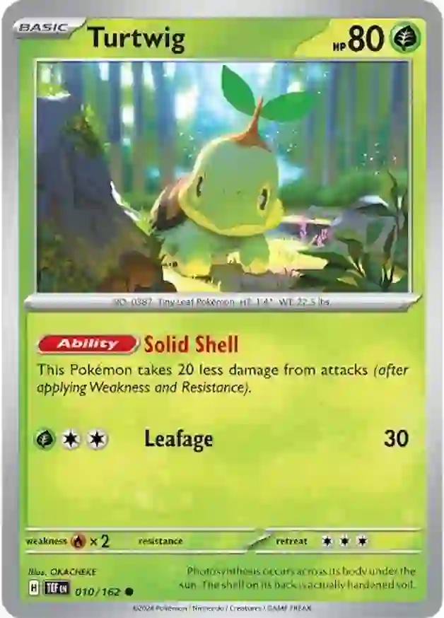 Turtwig 010