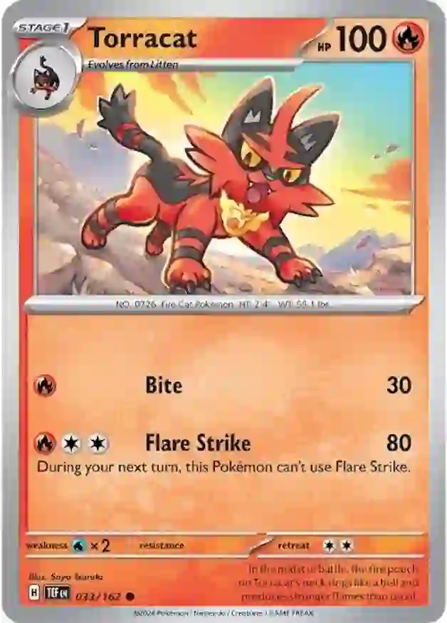 Torracat 033 Normal