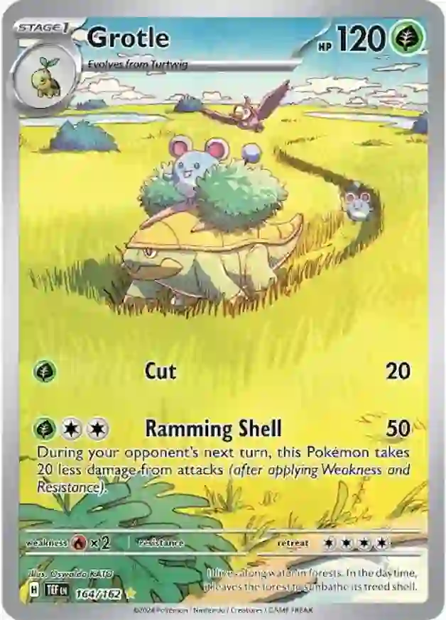 Grotle 164 Normal
