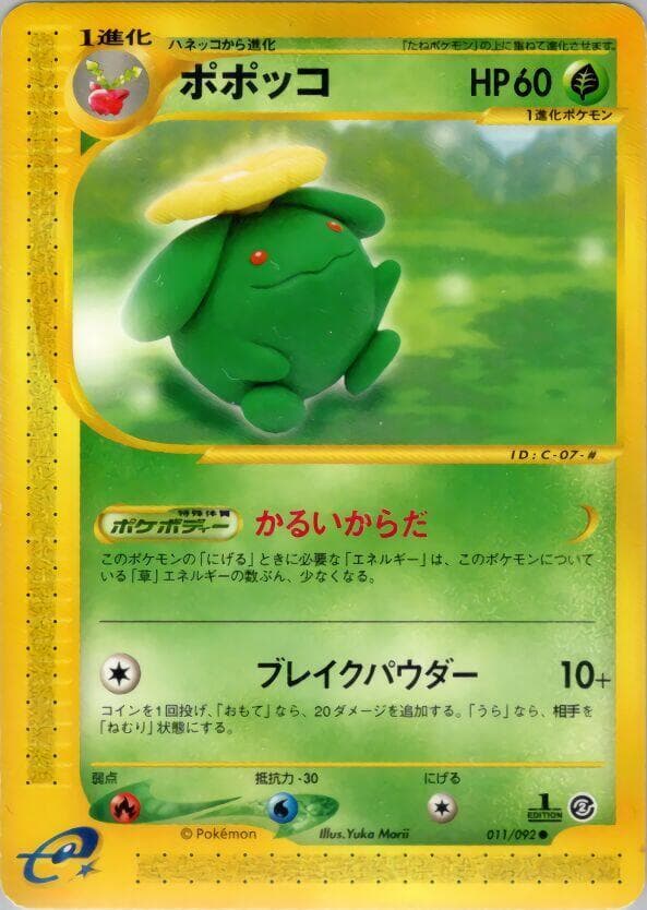 Skiploom 11