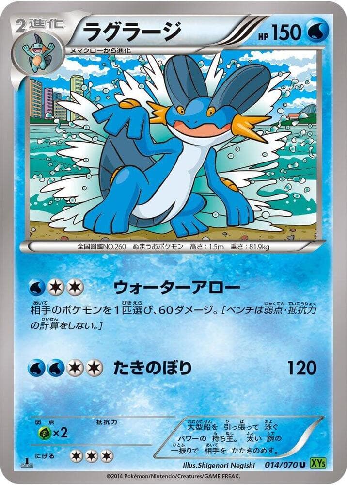 Swampert 14