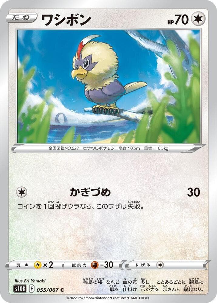 Rufflet 055