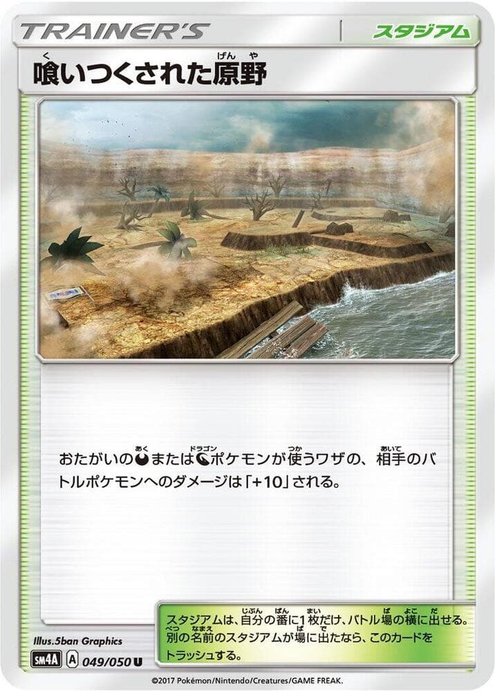 Decayed Wasteland 049