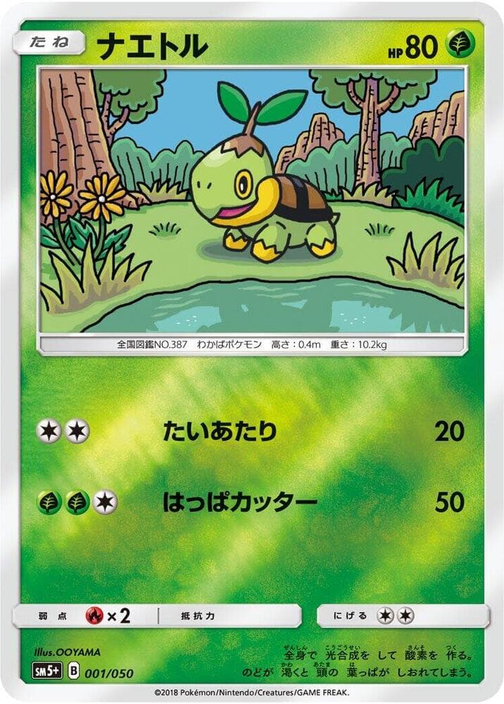 Turtwig 001 Normal