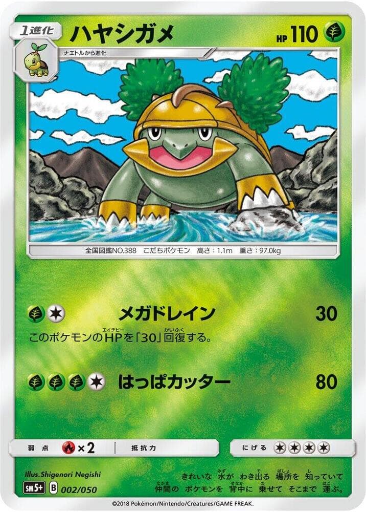 Grotle 002