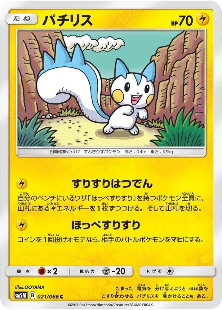 Pachirisu 021
