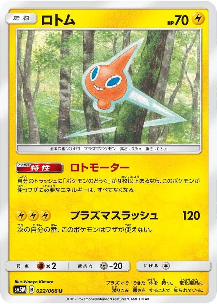 Rotom 022