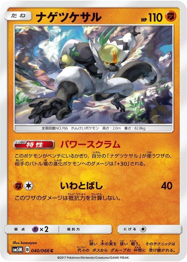 Passimian 040