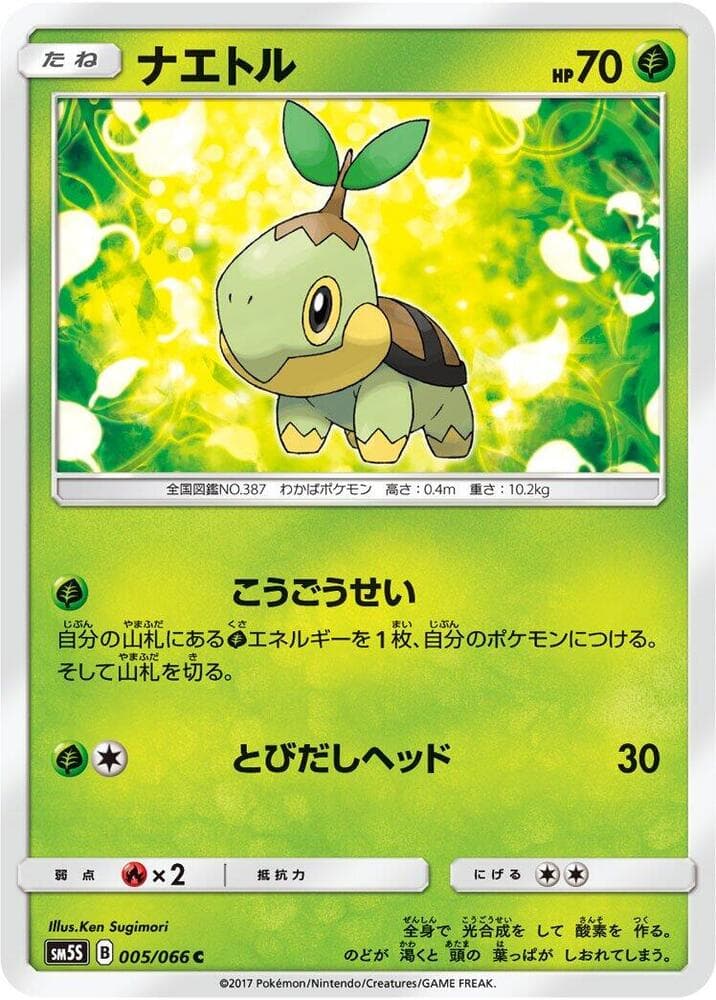 Turtwig 005 Normal