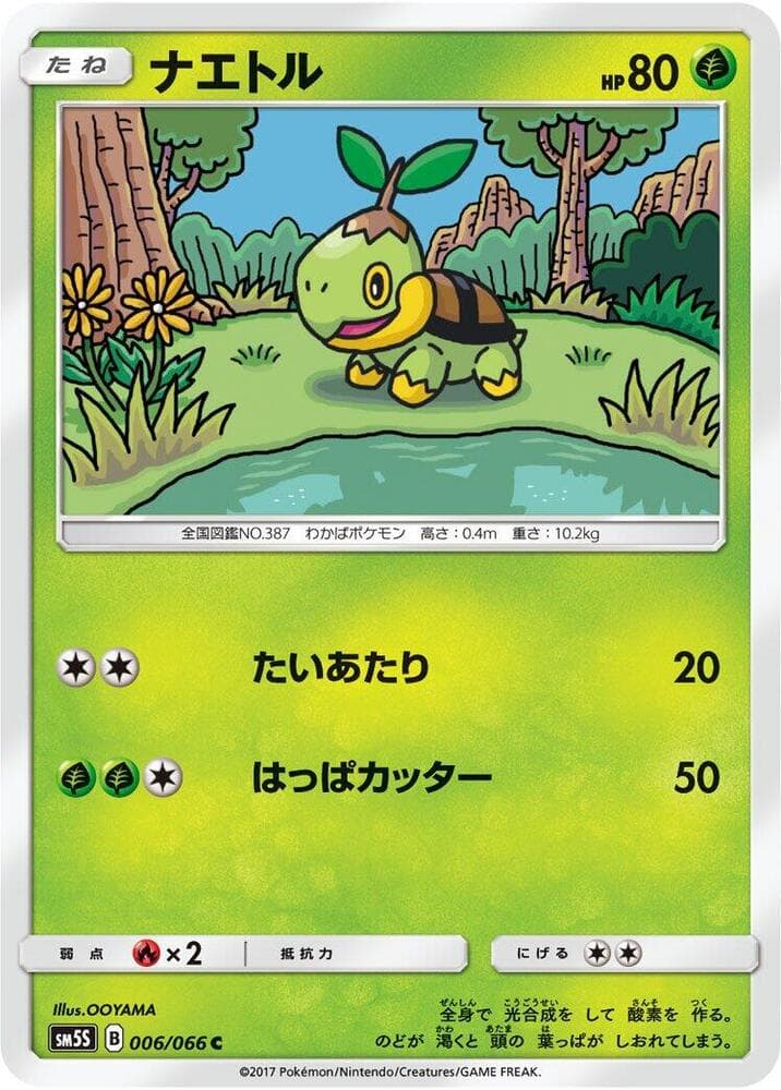Turtwig 006