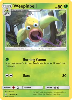 Weepinbell 14 Normal