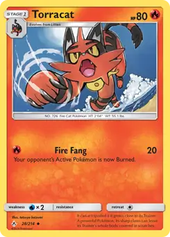 Torracat 28