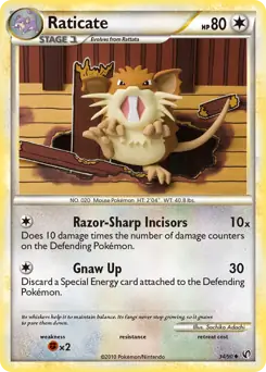 Raticate 34