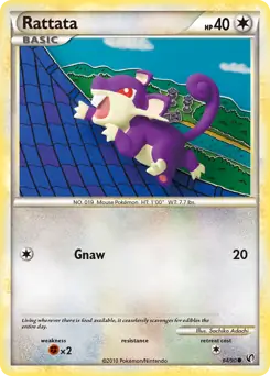 Rattata 64 Normal