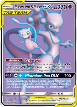 Full Art Mewtwo & Mew GX 222 Normal