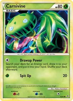Carnivine 46 Normal