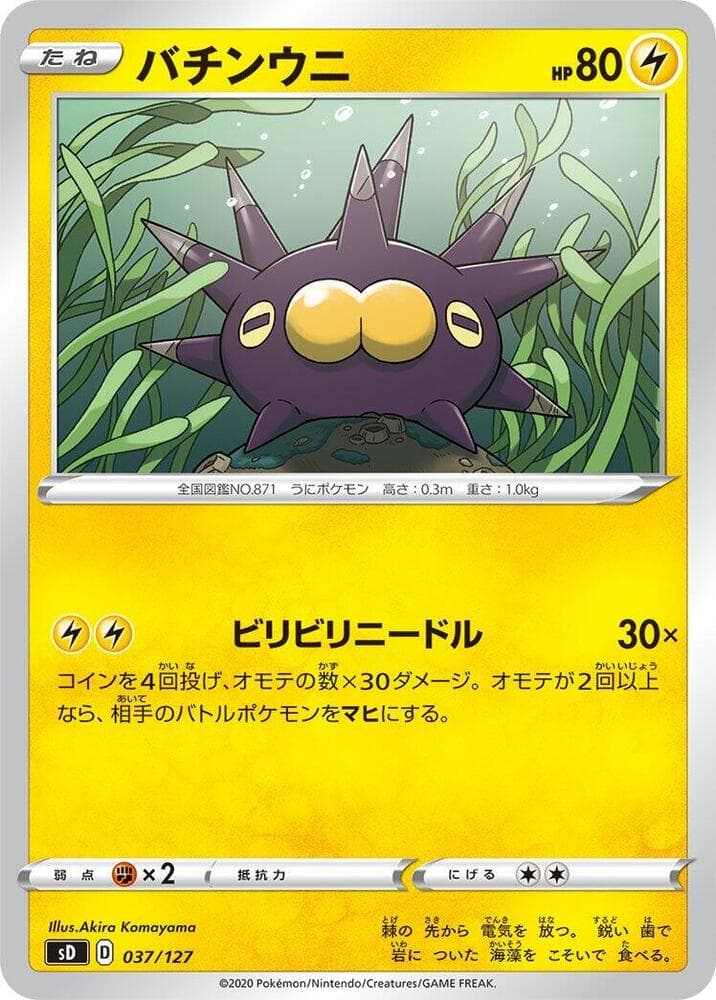 Pincurchin 037