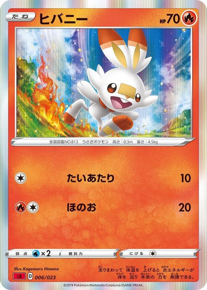 Scorbunny 006