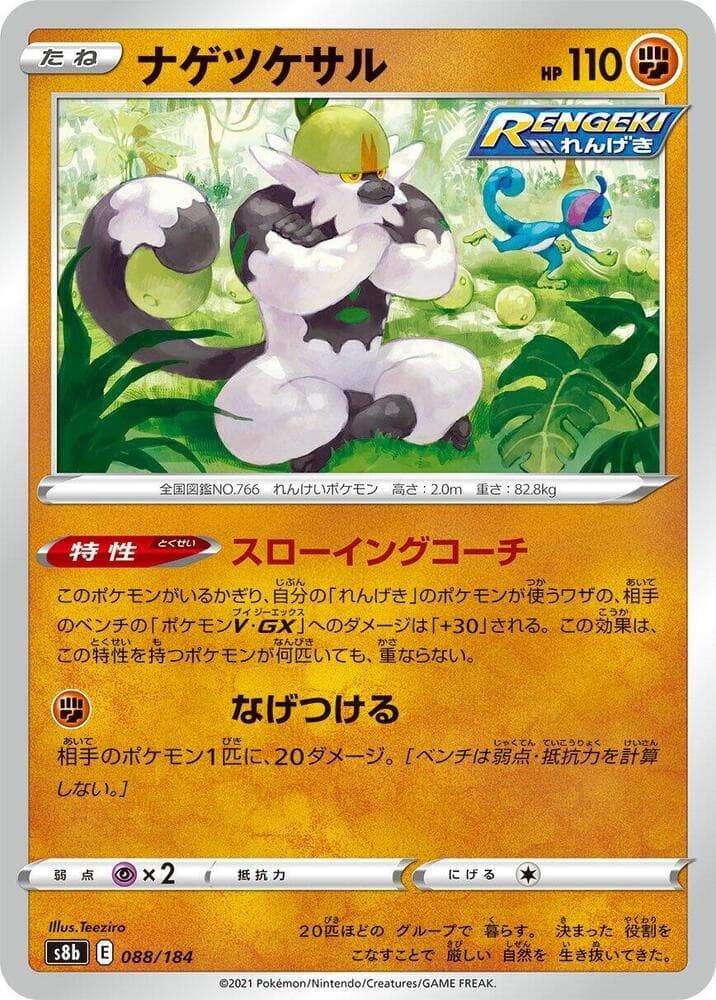 Passimian 088 Normal