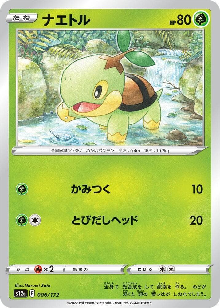 Turtwig 006 Normal