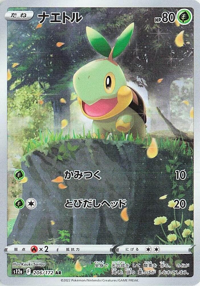Turtwig 206 Normal