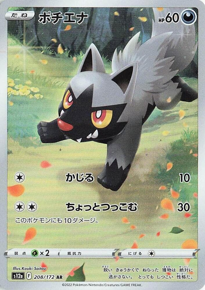 Poochyena 208