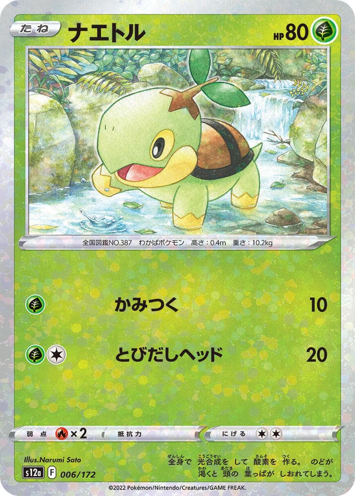 Turtwig 6 Holo