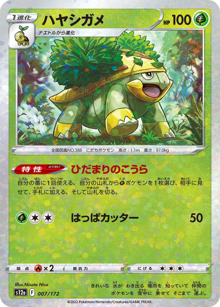 Grotle 7