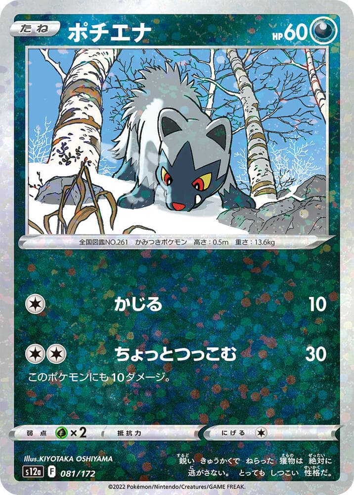Poochyena 81