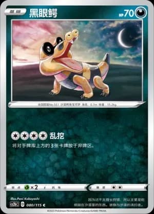 Sandile 080