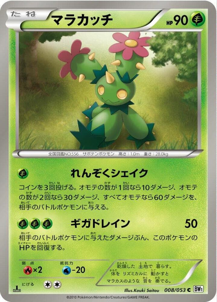 Maractus 008