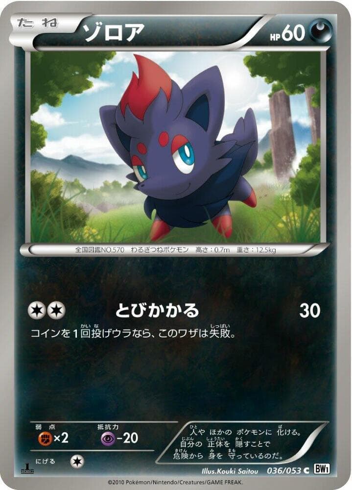 Zorua 036