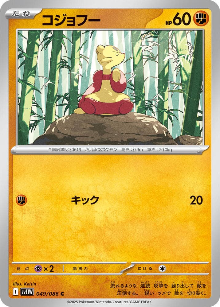 Mienfoo 049
