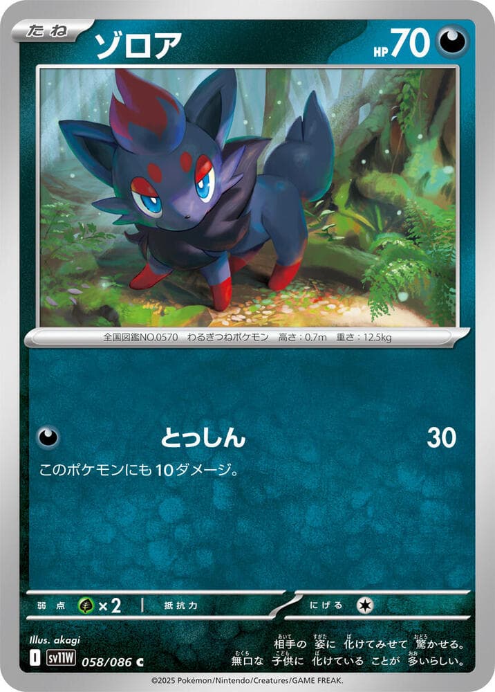 Zorua 058