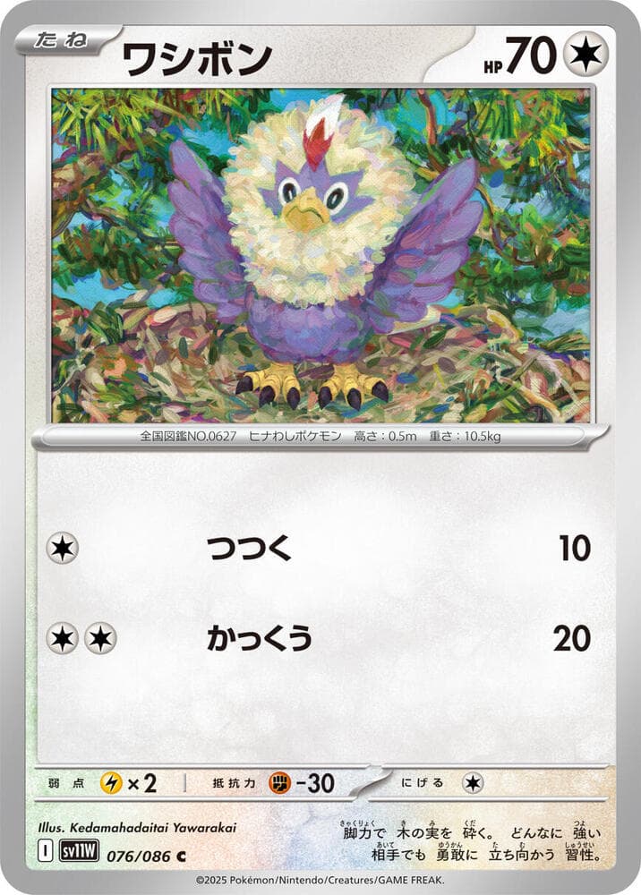 Rufflet 076