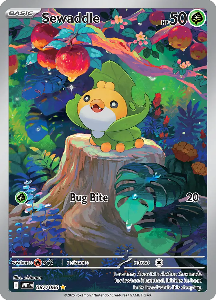 Sewaddle 087