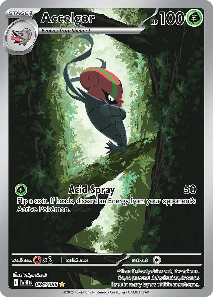 Accelgor 094