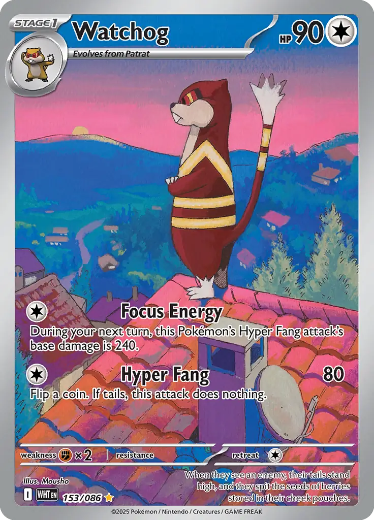 Watchog 153