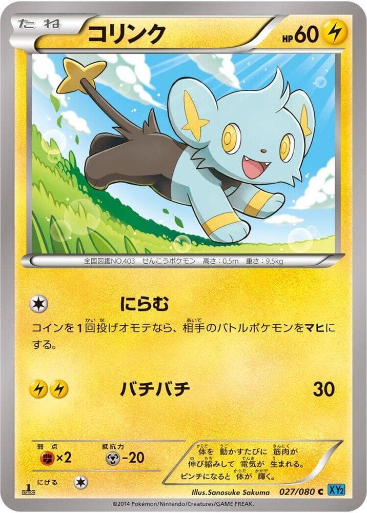 Shinx 027