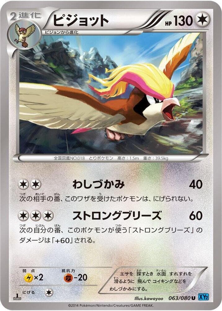 Pidgeot 063