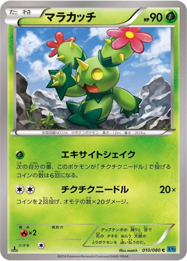 Maractus 10