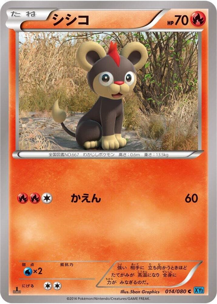 Litleo 14 Unlimited