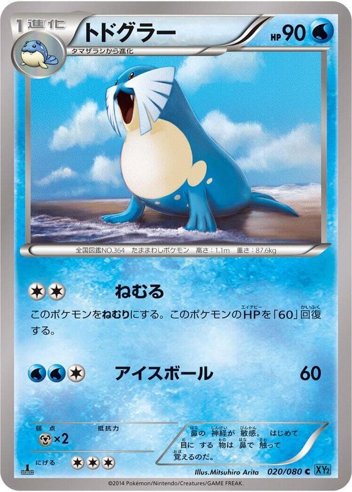 Sealeo 20 Unlimited