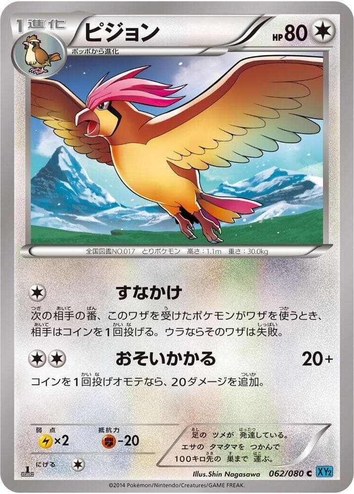 Pidgeotto 62 Unlimited